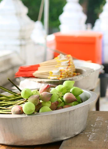 Thăm cố đô Ayuthaya ảnh 4