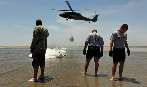 Sinh vật biển khốn đốn với thảm họa dầu loang ảnh 8