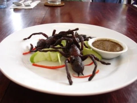 Có nên chơi nhện độc tarantula? ảnh 2