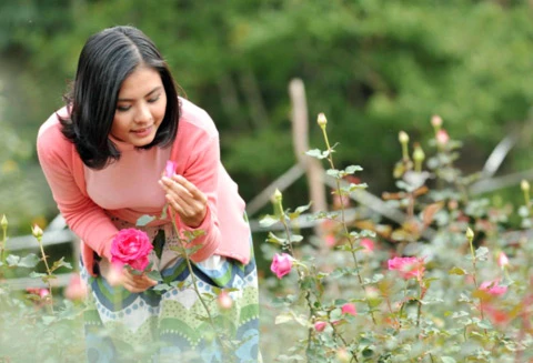 Vân Trang làm dáng giữa... đàn bò ảnh 8