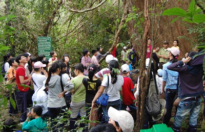 Thả thú hoang dã về rừng ảnh 5