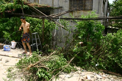 Xe ô tô chỉ dừng lại khi tông vào rào cây