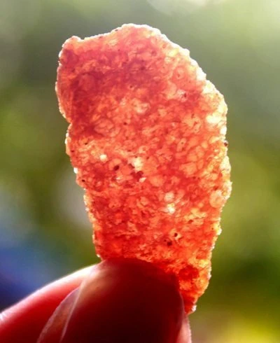 Giật mình... thịt hổ khô trước cổng trường ảnh 3