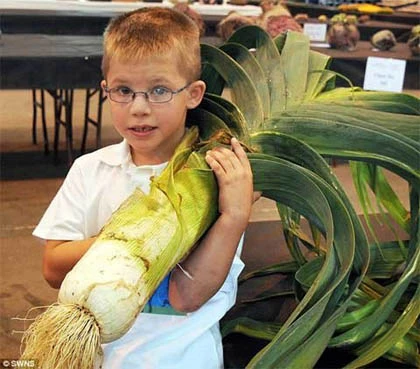 Những loại rau quả khổng lồ chưa từng thấy ảnh 5