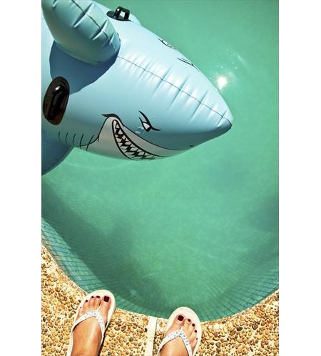 Những bức ảnh số xuất sắc năm 2009 ảnh 18