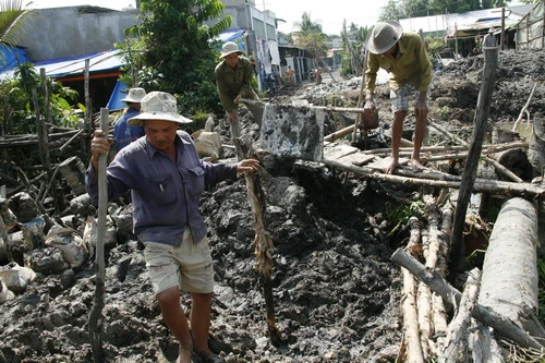 Triều cường dâng cao, bể bờ bao nhiều nơi ảnh 3