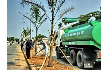 Indonesia trồng một tỷ cây xanh để giảm khí thải ảnh 1