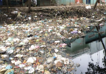 Thông tin từ bạn đọc ảnh 2