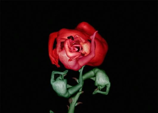 Hoa ghép từ cơ thể của những cô gái khỏa thân ảnh 4