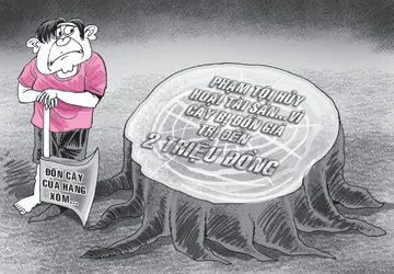 Chặt cây cẩm lai hàng xóm ảnh 1