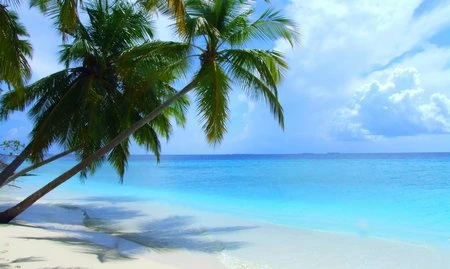 “Giải nhiệt” mùa hè với bộ hình nền tuyệt đẹp dành cho Windows ảnh 7