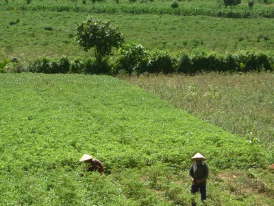 Làng hoàn lương của các nữ giang hồ ảnh 3