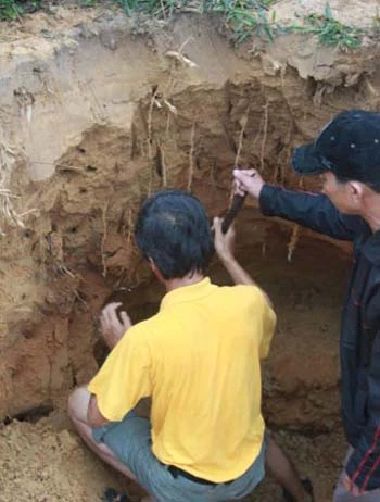 Đổ xô đào đá cảnh ở nghĩa địa ảnh 2