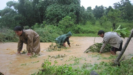 Bốn thanh niên xả thân cứu người trong lũ dữ ảnh 2