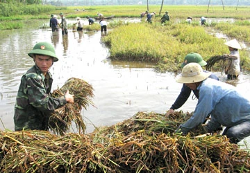 Chân dung người lính biên phòng ảnh 1
