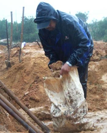 Đổ xô đào đá cảnh ở nghĩa địa ảnh 7