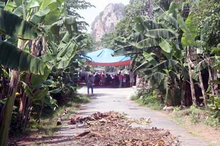 Chồng tâm thần sát hại vợ dã man ảnh 1