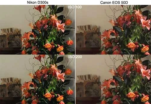 Ảnh chụp thử từ Nikon D300s và Canon 50D. Ảnh: Cameralabs.