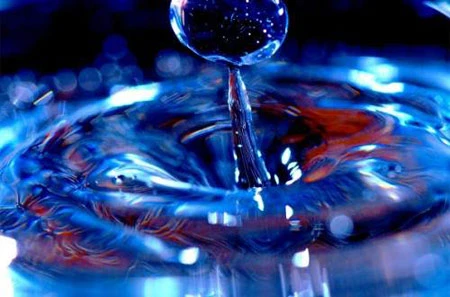 Những hình ảnh quay chậm đẹp và hài hước ảnh 9 Những hình ảnh quay chậm đẹp và hài hước ảnh 9