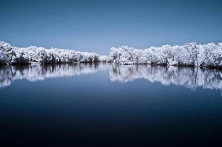 Độ tương phản màu đẹp lạ qua ảnh hồng ngoại ảnh 12