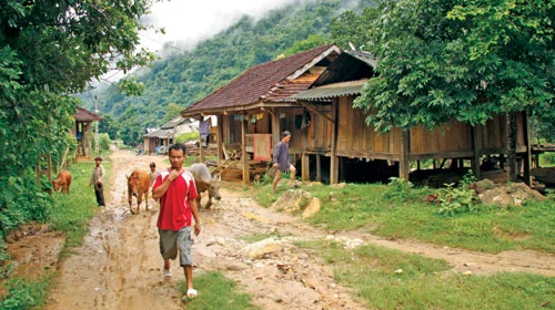 Bí ẩn quan tài cổ trên núi thiêng ảnh 1