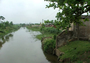 Tản mạn sông quê ảnh 1