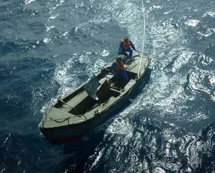 Chuyện cá mập ở biển Đông ảnh 2