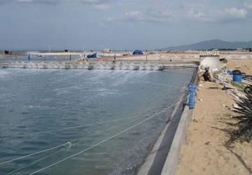 Trung đoàn Không quân 910 bị đề nghị phạt 400 triệu đồng ảnh 1 Trung đoàn Không quân 910 bị đề nghị phạt 400 triệu đồng ảnh 1