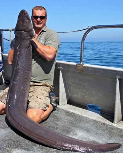 Bắt được cá chình nặng tới 45kg ảnh 1