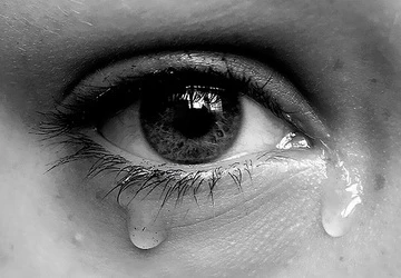 Những điều teen chưa biết về nước mắt ảnh 1