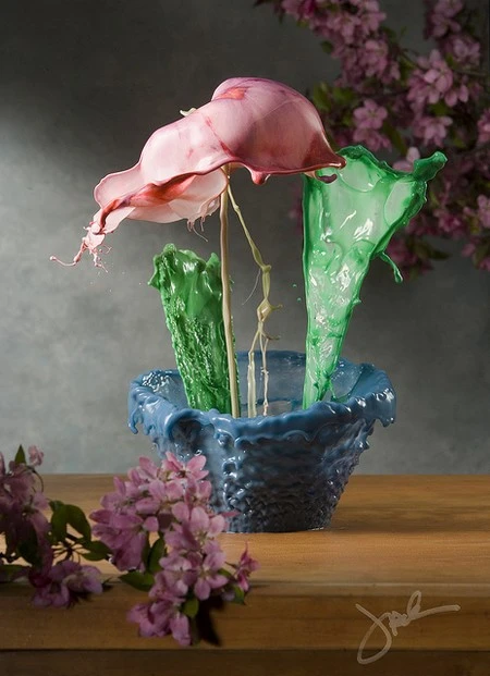 Tuyệt đẹp bộ ảnh nghệ thuật từ chất lỏng ảnh 4