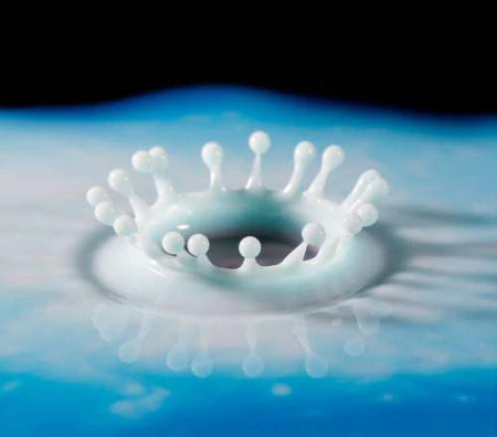 Những hình ảnh quay chậm đẹp và hài hước ảnh 13 Những hình ảnh quay chậm đẹp và hài hước ảnh 13