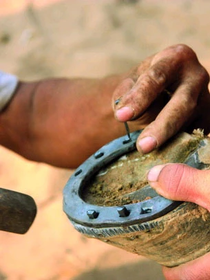 Người đóng móng ngựa cuối cùng ở Phú Thọ ảnh 4