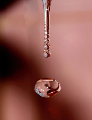 Chụp ảnh "close-up" ảnh 3