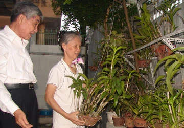 Những cuộc se duyên ảnh 2