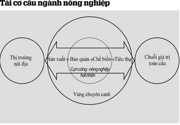 Cách duy nhất cứu nông nghiệp là tái cơ cấu ảnh 2