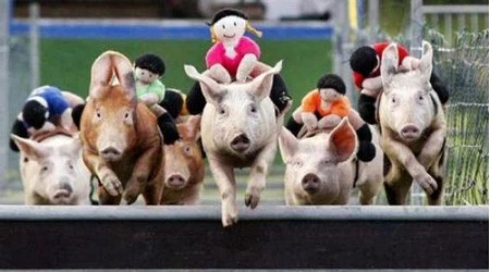 Những cuộc thi kỳ lạ nhất thế giới ảnh 1