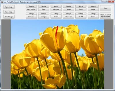 Tạo hiệu ứng để hình ảnh đẹp mắt và ấn tượng hơn ảnh 1