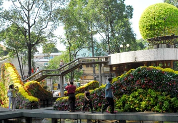 Chụp ảnh tết ở đường hoa Nguyễn Huệ ảnh 1