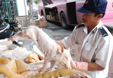 “Mông má” heo nái thành heo rừng ảnh 1