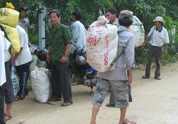 “Sốt” kỳ nam náo loạn Kon Choro ảnh 1