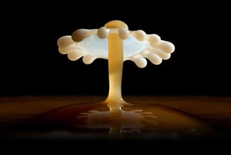 Những hình ảnh quay chậm đẹp và hài hước ảnh 17 Những hình ảnh quay chậm đẹp và hài hước ảnh 17