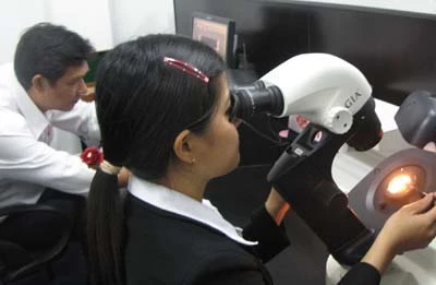 Thành lập công ty kiểm định vàng và đá quý tiêu chuẩn quốc tế tại Việt Nam ảnh 1