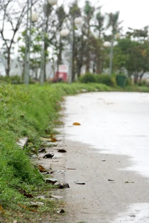 Đường Trịnh Công Sơn - những góc nhìn đẹp ảnh 7 Đường Trịnh Công Sơn - những góc nhìn đẹp ảnh 7