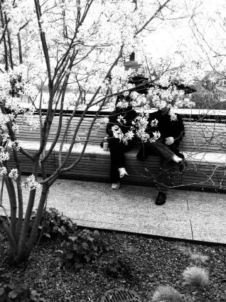 Những bức ảnh chuyển mùa đẹp ấn tượng chụp bằng iPhone ảnh 11