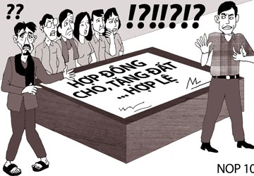 Cha con tranh chấp đất hương hỏa ảnh 1