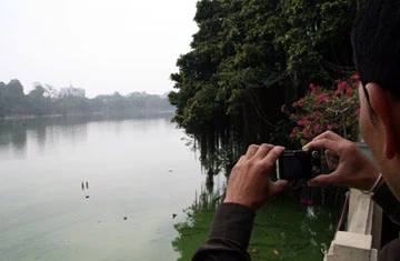 Cụ Rùa lại nổi khi trời hửng nắng ảnh 5