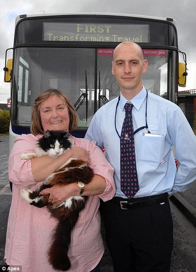 Những chuyện lý thú về mèo ảnh 4