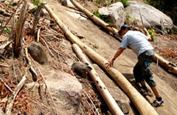 Đột nhập “lãnh địa” cần sa- Kỳ 1: Gian nan đường lên đỉnh Mây Tàu ảnh 1