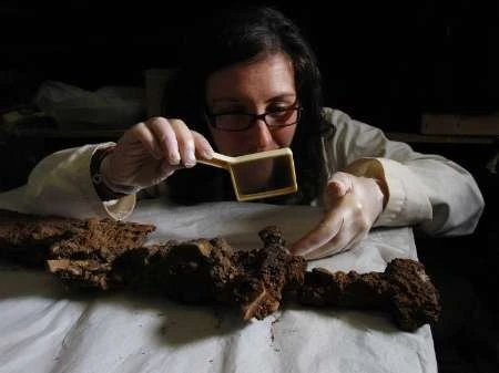 Phát hiện mộ thuyền của cướp biển Viking huyền thoại ảnh 5